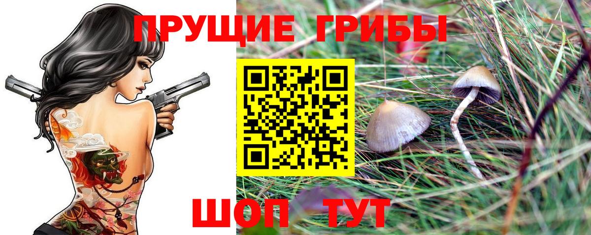 Галлюциногенные грибы MAGIC MUSHROOMS Кубинка