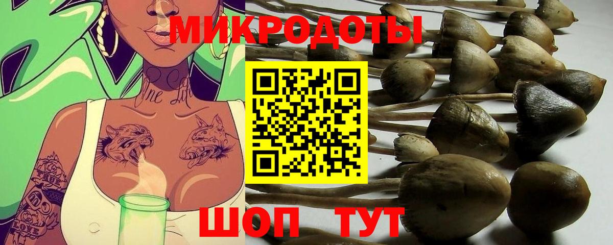 Галлюциногенные грибы прущие грибы  Вход с VPN  Псилоцибиновые грибы мухоморы  купить наркотики цена  Кубинка 